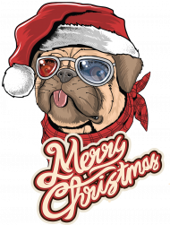 Merry Christmas - Mikołaj Pieseł