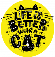 Life is better with a cat. Koty, zwierzęta