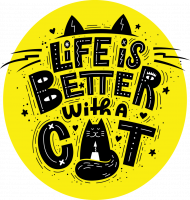Life is better with a cat. Koty, zwierzęta