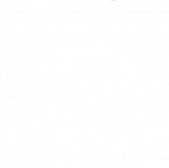 Small Anarchy