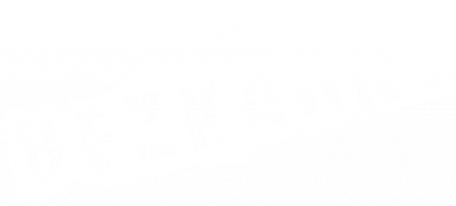 Bezkarny - Tibia