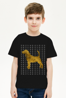 Beagle, Przyjaciel Pies - Przyjaciel Pies