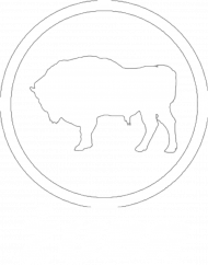 Bluza z Żubrem
