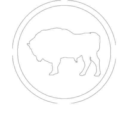Bluza z Żubrem