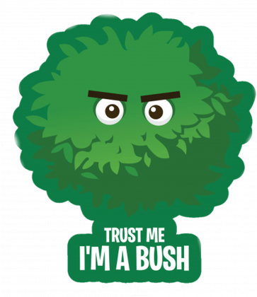 Koszulka dla dziewczynki Bush - Fortnite Limited Edition