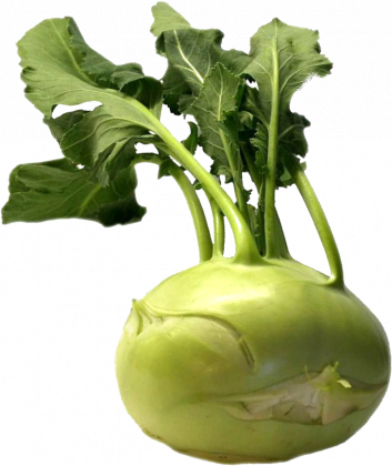Kalarepa