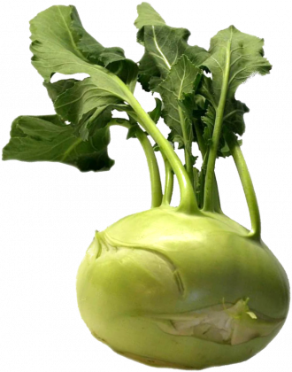 Kalarepa