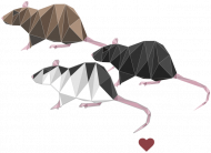 I love RATS 2 koszulka damska czarna