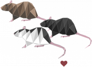 I love RATS 2 koszulka męska czarna