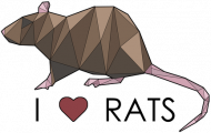 JEDNOSTRONNY kubek I LOVE RATS 1