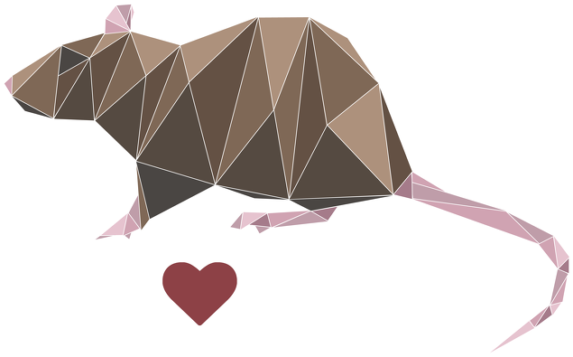 I love RATS 1 koszulka damska czarna