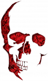 Little Roses Skull