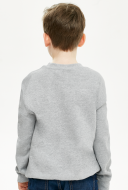Bluza dziecięca bez kaptura Szara FRUITOGTHELOOM