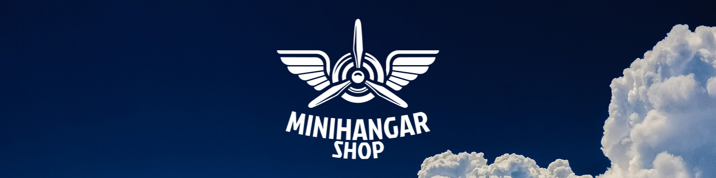 Mini Hangar