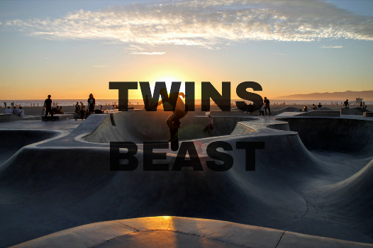 Twins Beast Poland Corporation