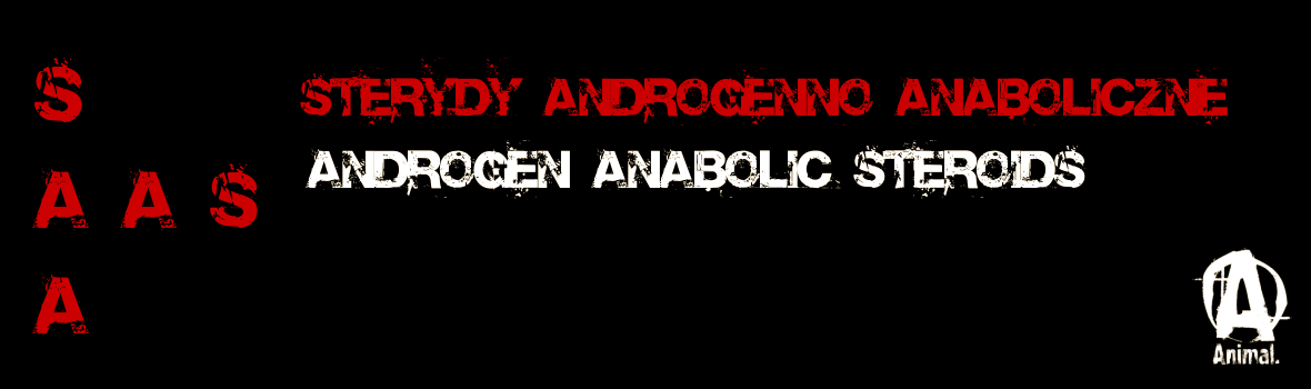 GymTshirt Koszulki Siłownia Fitness