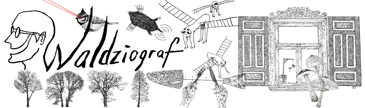 Waldziograf