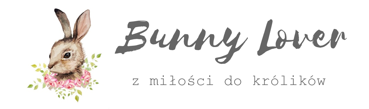 Bunny Lover