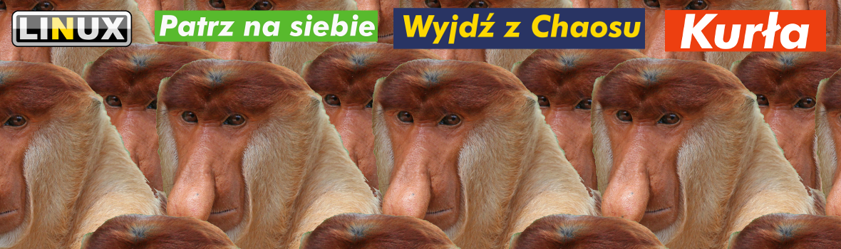 Krejzole_Wear