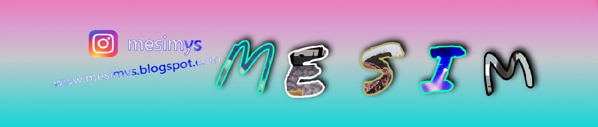 Mesim