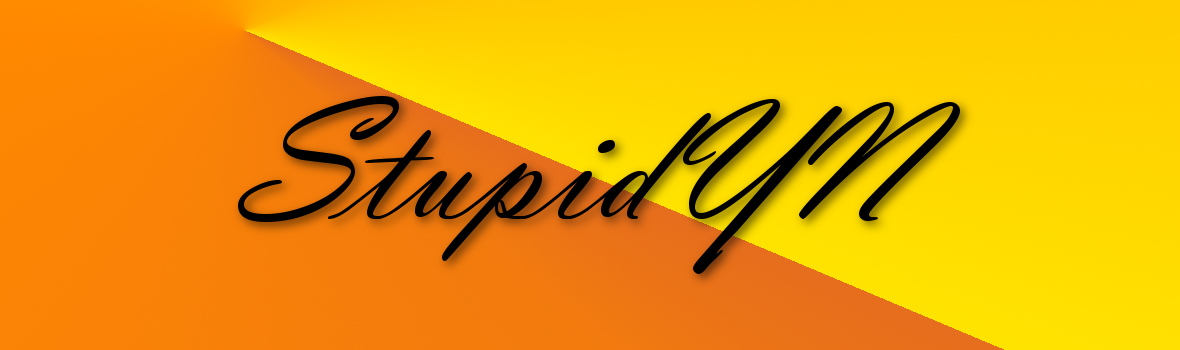 StupidYN