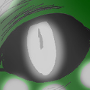 EnVi