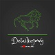 detailingowy